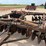 john-deere-1635-image-2