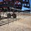case-ih-4300-image-13