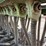 great-plains-solid-stand-15-image-22