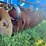 landoll-6230-image-10