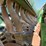 john-deere-9350-image-20