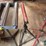 two-roller-stands-image-2