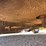 john-deere-1418-image-12