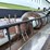 agco-20ft-air-reel-bean-head-w/-cart-image-29