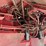 case-ih-2166-image-65