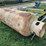 approx-250-gallon-propane-tank-image-2