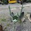 john-deere-2-image-1