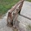 pallet-forks-image-18