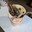 bucket-of-misc.-tools.-#225-image-1
