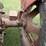 case-sc-tractor-image-21