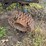 mitsubishi-mt372-image-7