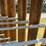 24'-freestanding-livestock-panels-w/gate-image-12