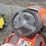 husqvarna-yth25k48-riding-mower-image-17