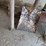 handyman-jack,-railroad-jack-&-misc.-hand-tools.-#253-image-10