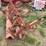 massey-ferguson-440-image-3