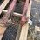forks-image-3