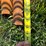 24'-freestanding-livestock-panels-w/gate-image-16