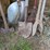 assortment-of-hand-tools-and-wheelbarrow.-#242-image-4