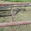 danahue-928-s-planter-trailer-image-24
