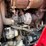 tym-t5545tusm-tractor-with-loader-image-21