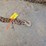 misc.-chains.-#251-image-3