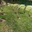 john-deere-1010-image-30
