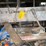 contents-of-work-bench,-miscellaneous-tools.-#276-image-8