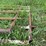 2--10ft-steel-cattle-gates-with-hinges-image-3