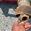 bush-hog-268r-image-7
