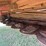 massey-ferguson-1372-image-9