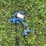 2-water-hydrants-image-3