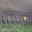 new-holland-489-image-43
