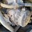 2012-polaris-rzr-900-image-11