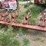 massey-ferguson-440-image-2