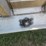1988-fruehauf-end-dump-trailer-image-56