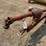 new-holland-565-image-9