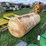 approx-250-gallon-propane-tank-image-3