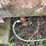 1000-gal-lp-tank-#262-image-5