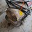 salamander-heater.-#248-image-5