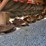 new-holland-1411-image-21