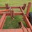 bush-hog-3pt-10-shank-chisel-image-13