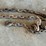2---chains-w/hooks-image-3