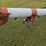 cardinal-8”x50’-straight-auger-image-18