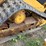 2014-caterpillar-259d-image-15
