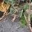 john-deere-4010-image-9