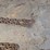 misc.-chains.-#251-image-5