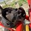 kuhn-fc283tg-image-12