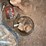 hyd.-hose-crimper,-fittings,-etc.-#266-image-4