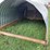 galvanized-animal-hut-image-3