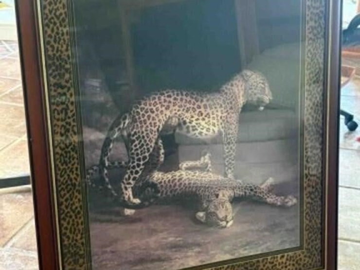 large-leopard-wall-picture-image-1